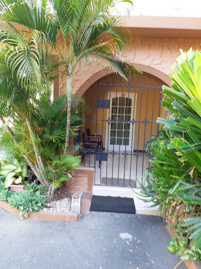 Cozy Apartment 3 Kingston Ngoại thất bức ảnh